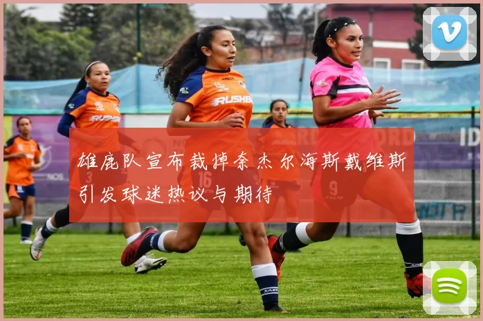 雄鹿队宣布裁掉奈杰尔海斯戴维斯引发球迷热议与期待
