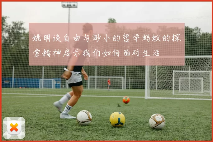 姚明谈自由与渺小的哲学蚂蚁的探索精神启示我们如何面对生活